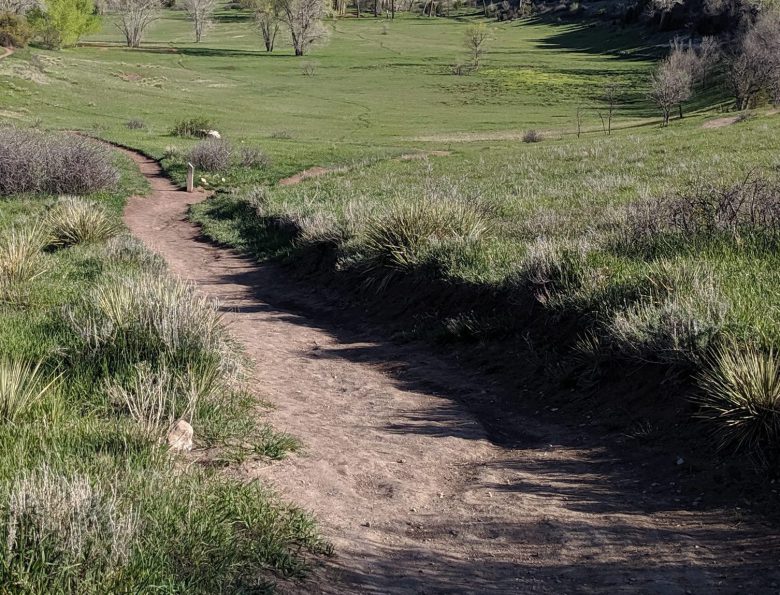 A Dusty Trail