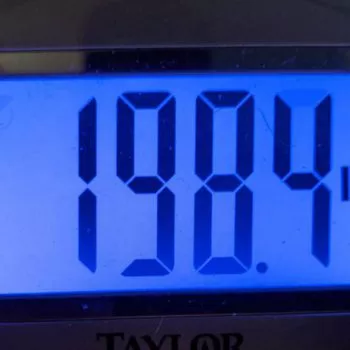 Summer Shred Week 5