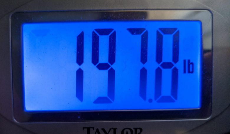 Week 7 Weight