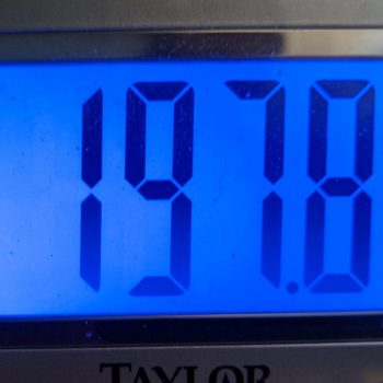 Week 7 Weight