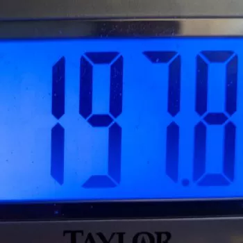 Week 7 Weight